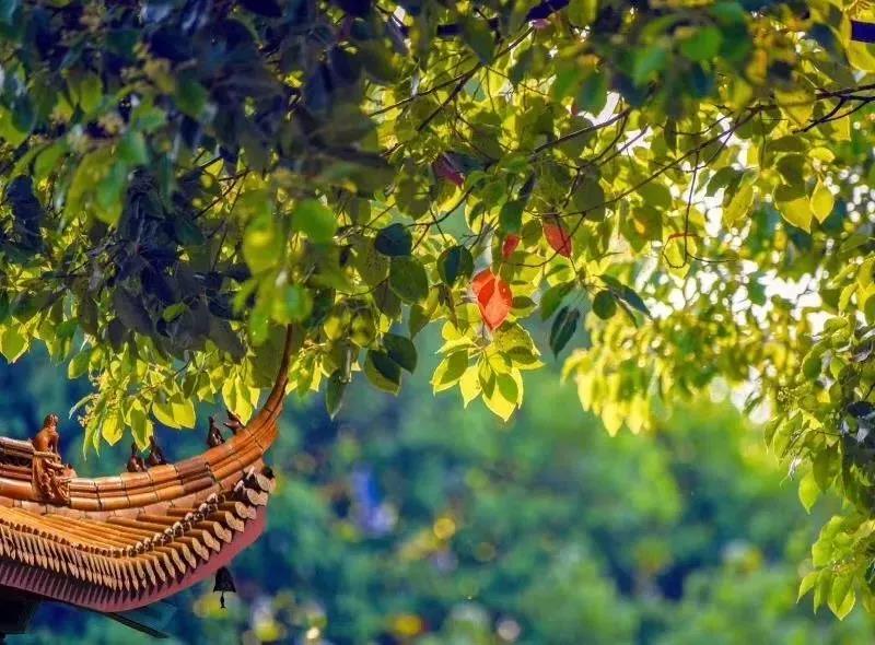 青海建筑设计院